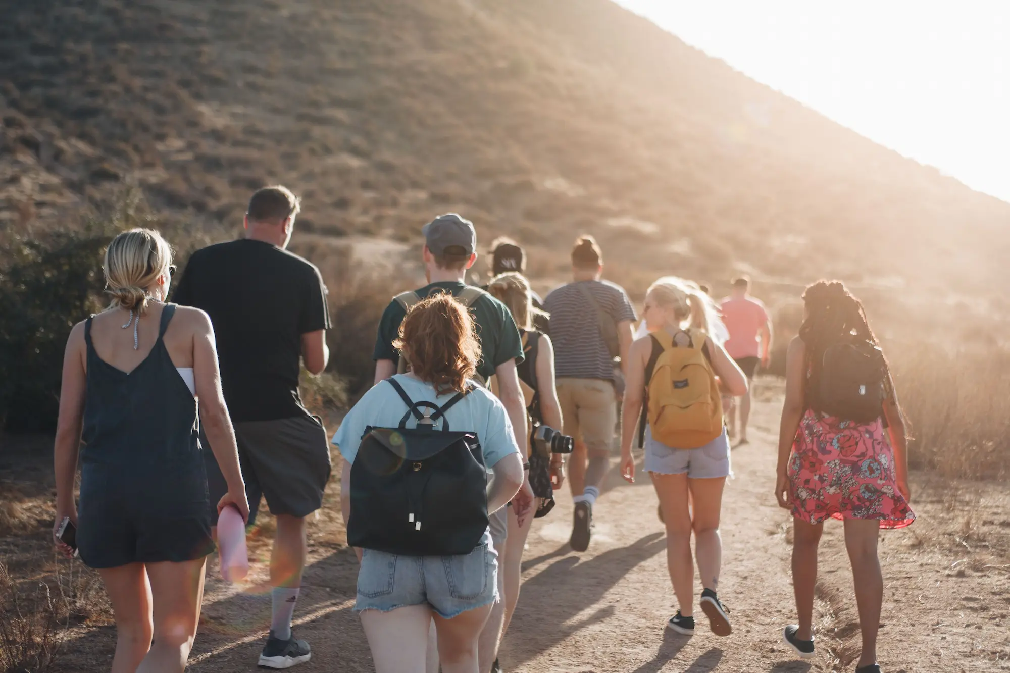 Student guided walks