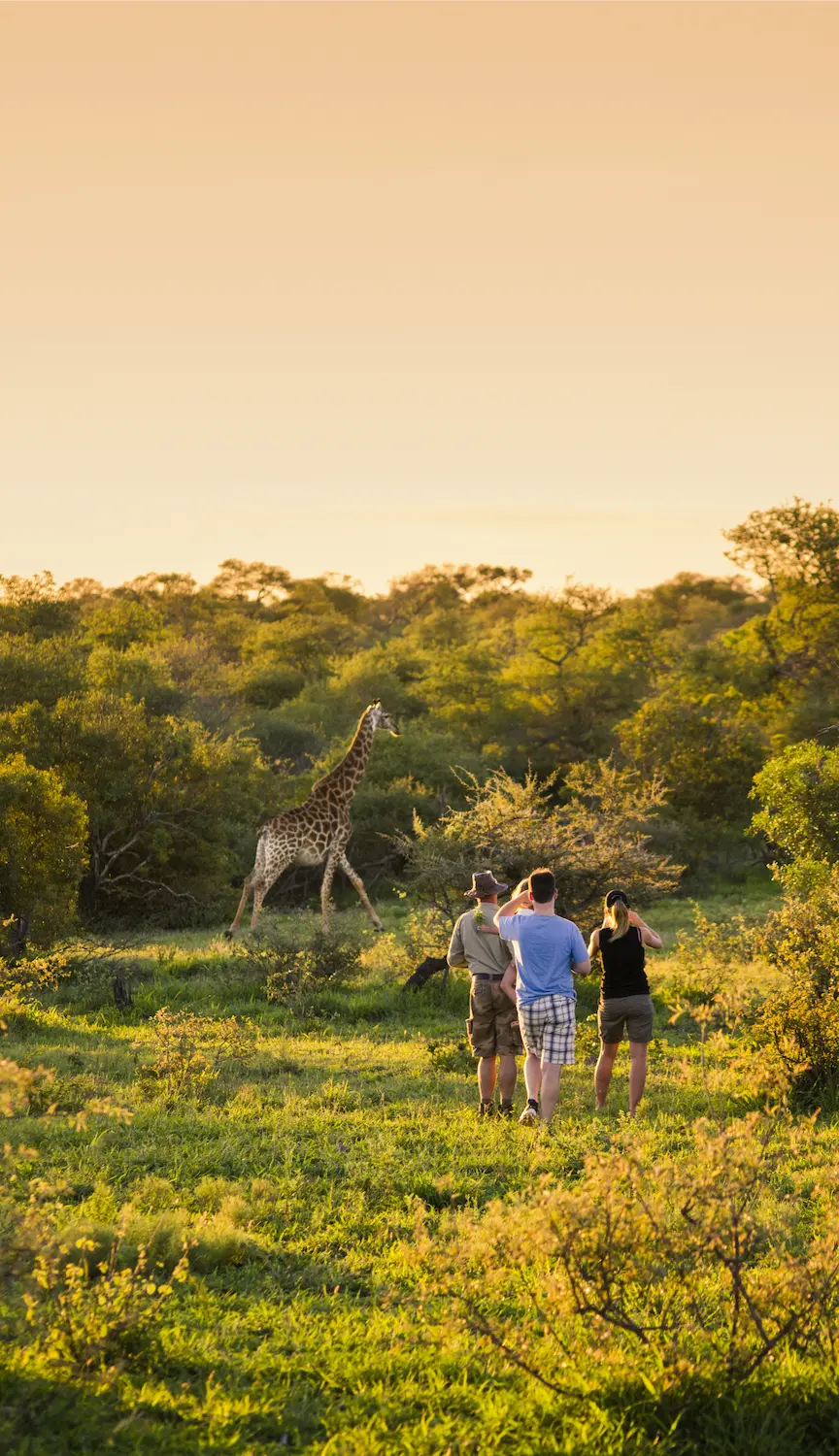 Couple spotting a Giraffe on a guided safari walk in South Africa