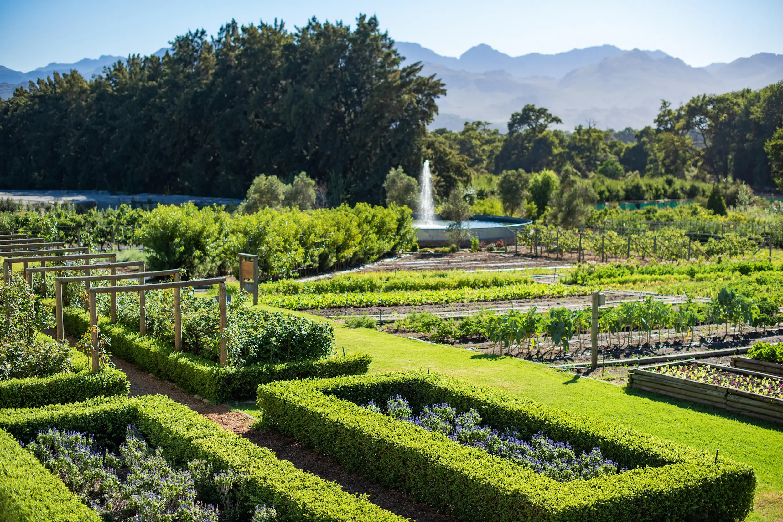 Winelands-south-africa-toronto-ghardy-tours