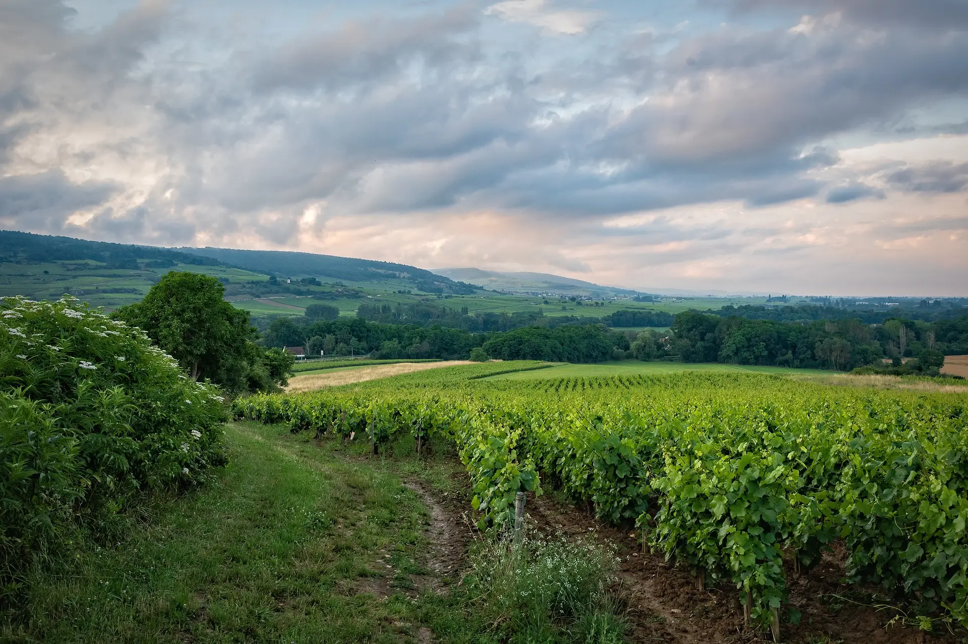 1-France-Burgundy-wineries-luxury-travel-ghardy-tours