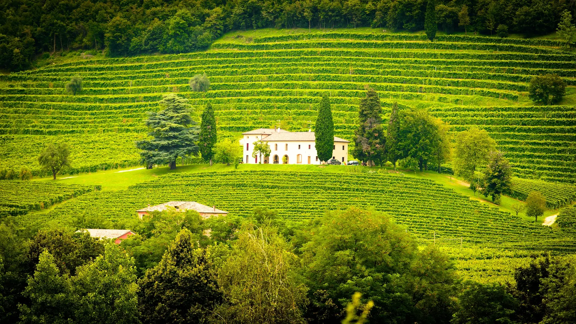 1-Italy-Wineries-luxury-travel-ghardy-tours