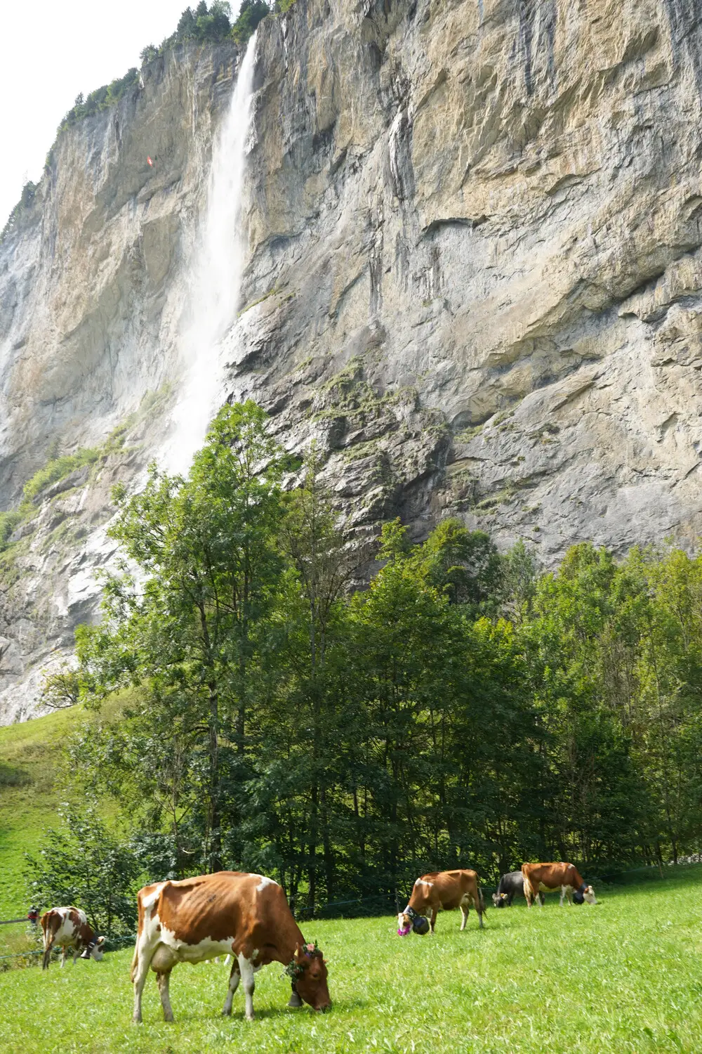 2-Switzerland-luxury-travel-ghardy-tours