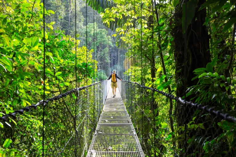 mistoc-handing-bridge-costa-rica-travel-ghardy-tours
