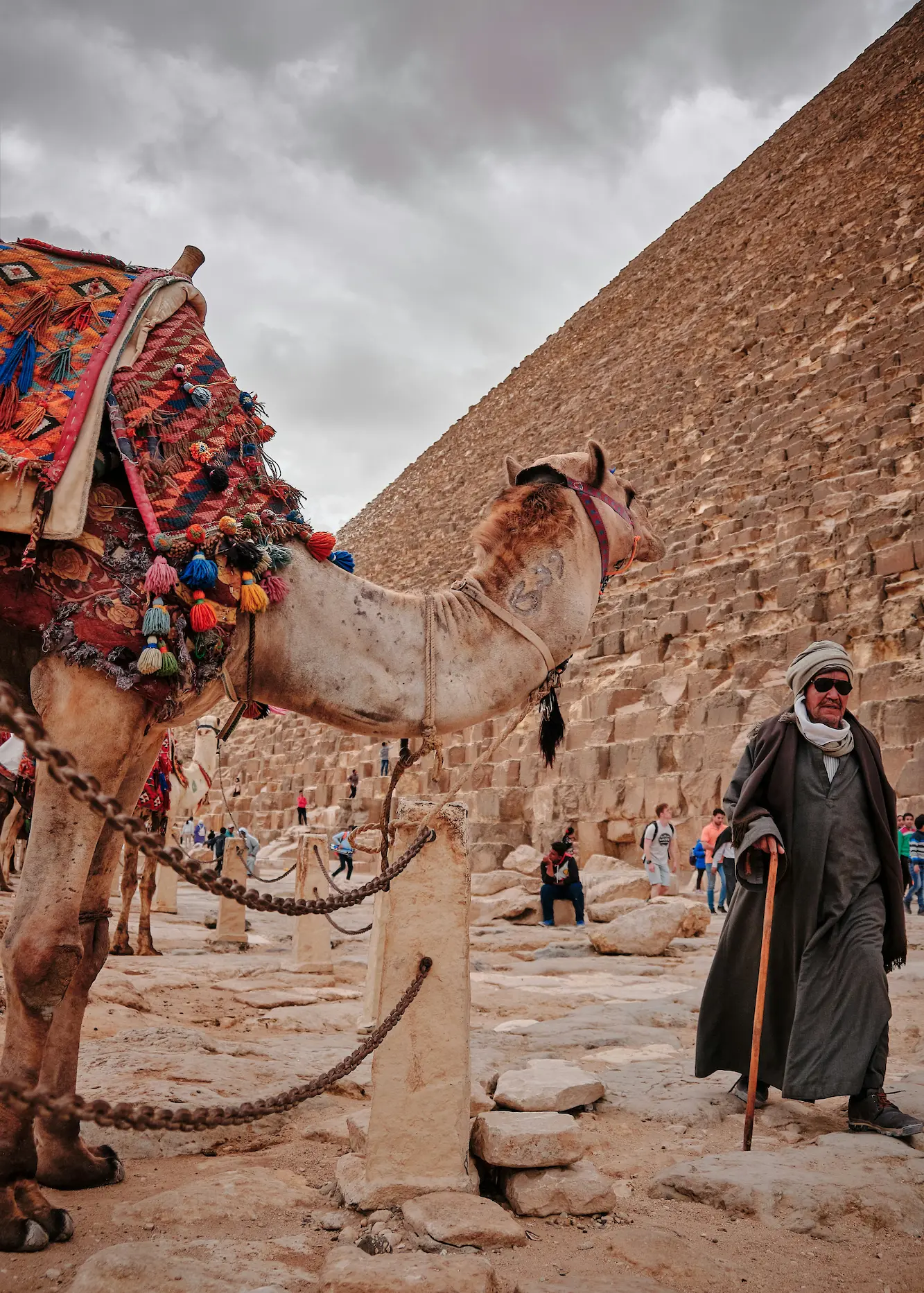 egypt-ghardy-tours-luxury (10)