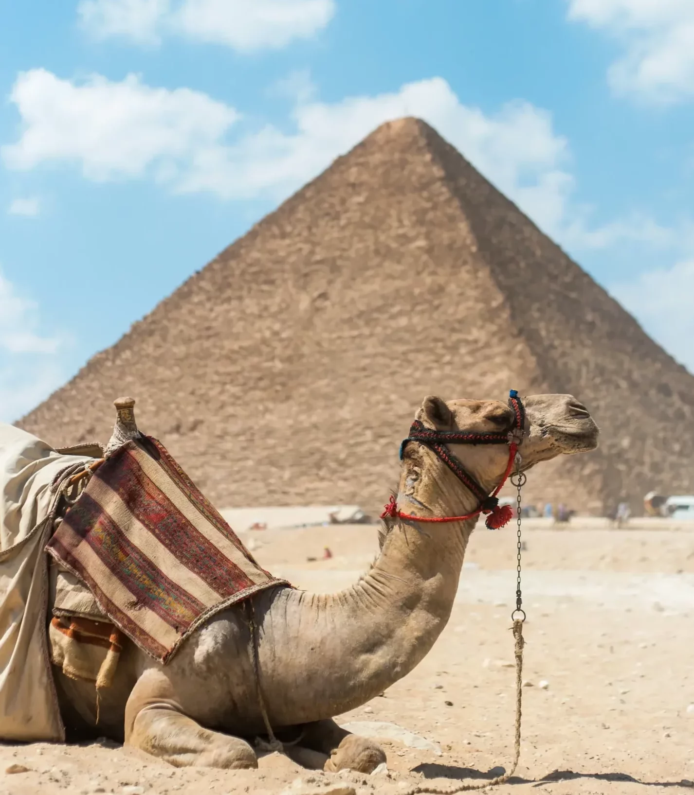 egypt-ghardy-tours-luxury (19)