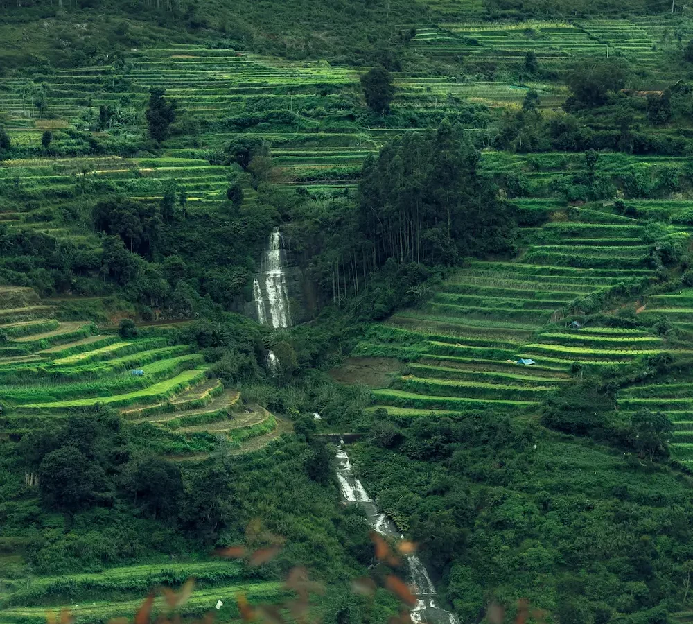 rwanda-ghardy-tours- (25)