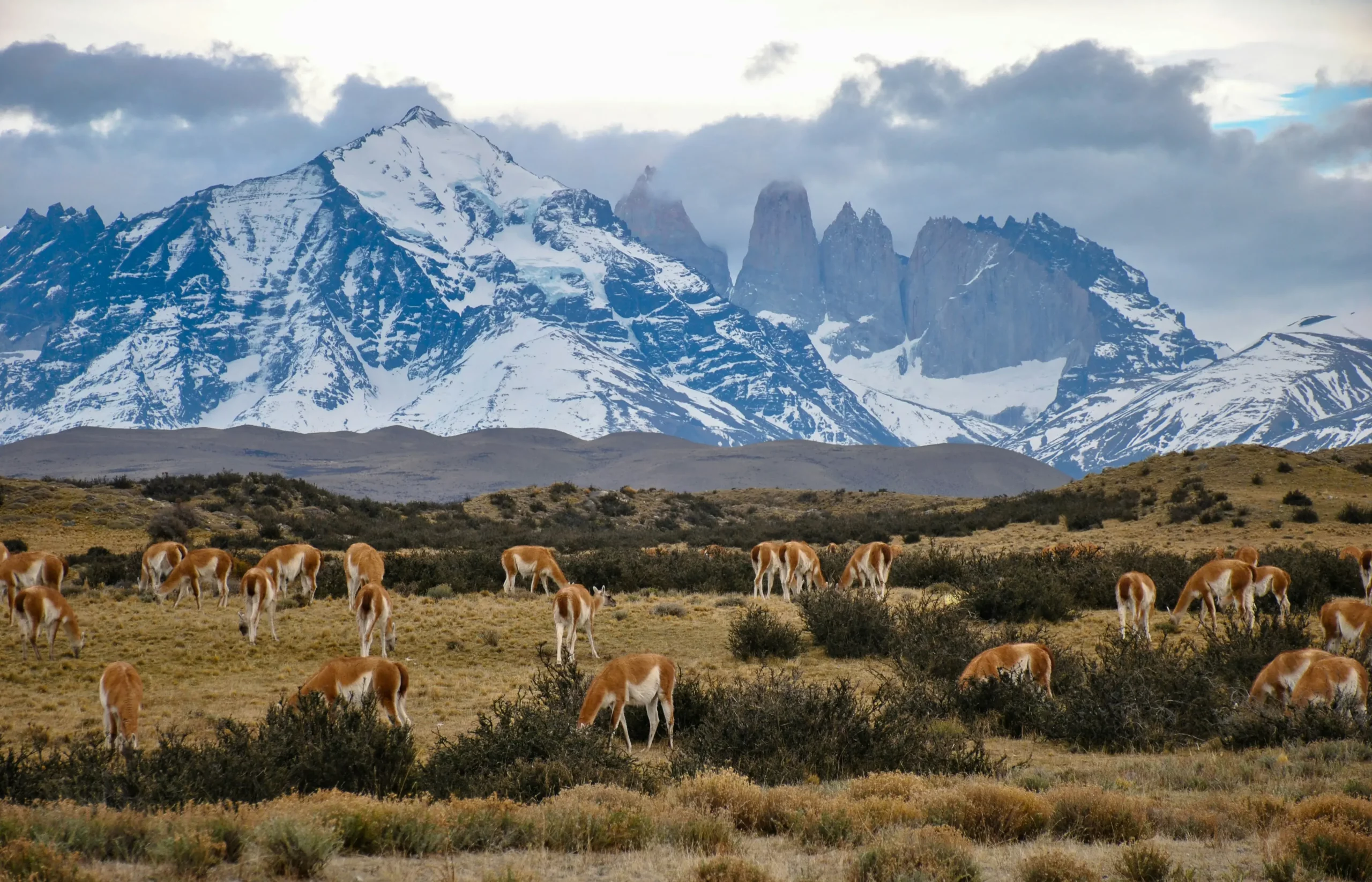chile-ghardy-tours-luxury